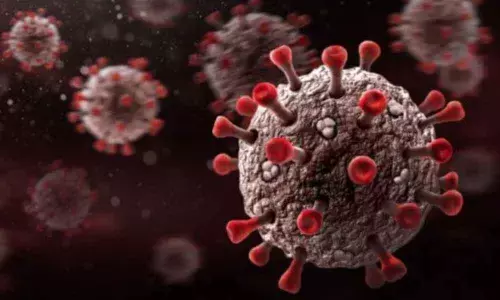 IIT-J team identifies Covid RNA variations