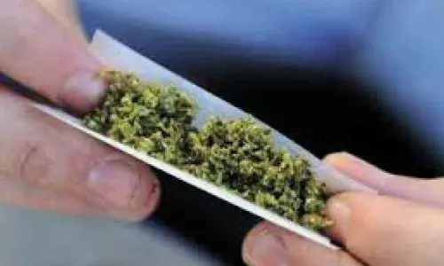 Vijayawada outskirts becoming ganja adda for youth