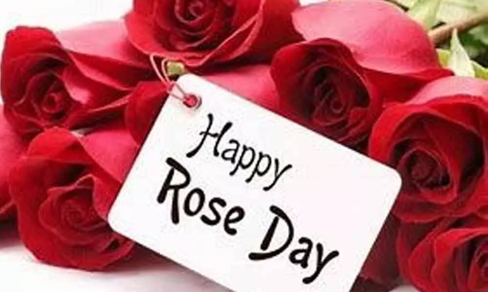 What is Rose Day & Why it is celebrated?