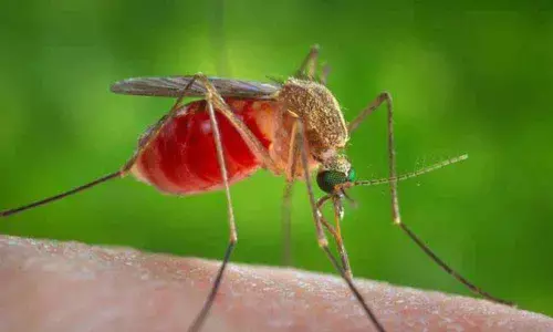 For representational purpose only