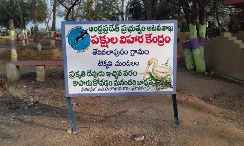 Srikakulam: Efforts on to arrest death of migratory birds