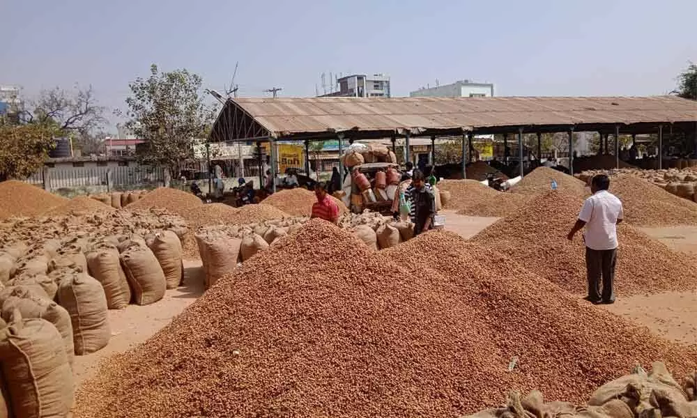 Groundnut farmers throng Badepally market for good MSP