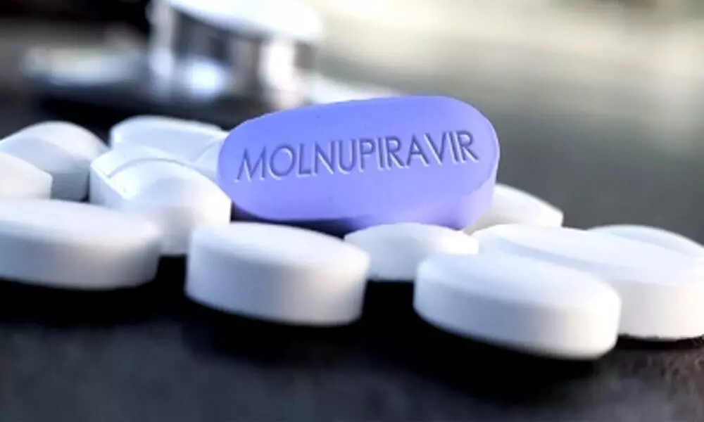 Molnupiravir appears to work against Omicron as other variants: Study