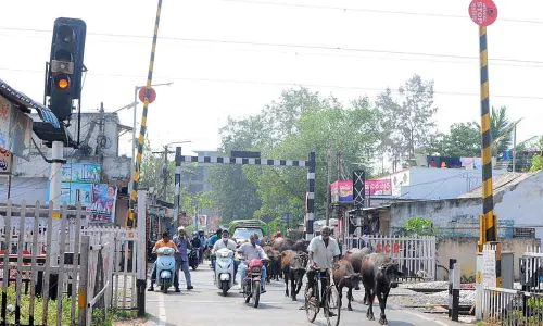 Narrow bridge at the railway station in Gunadala