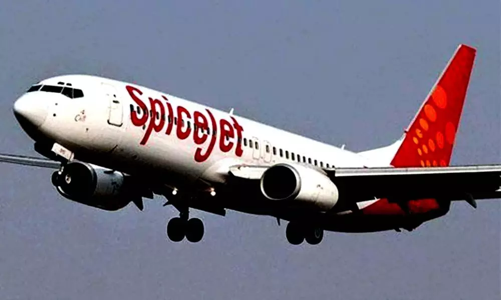 Domestic airline SpiceJet
