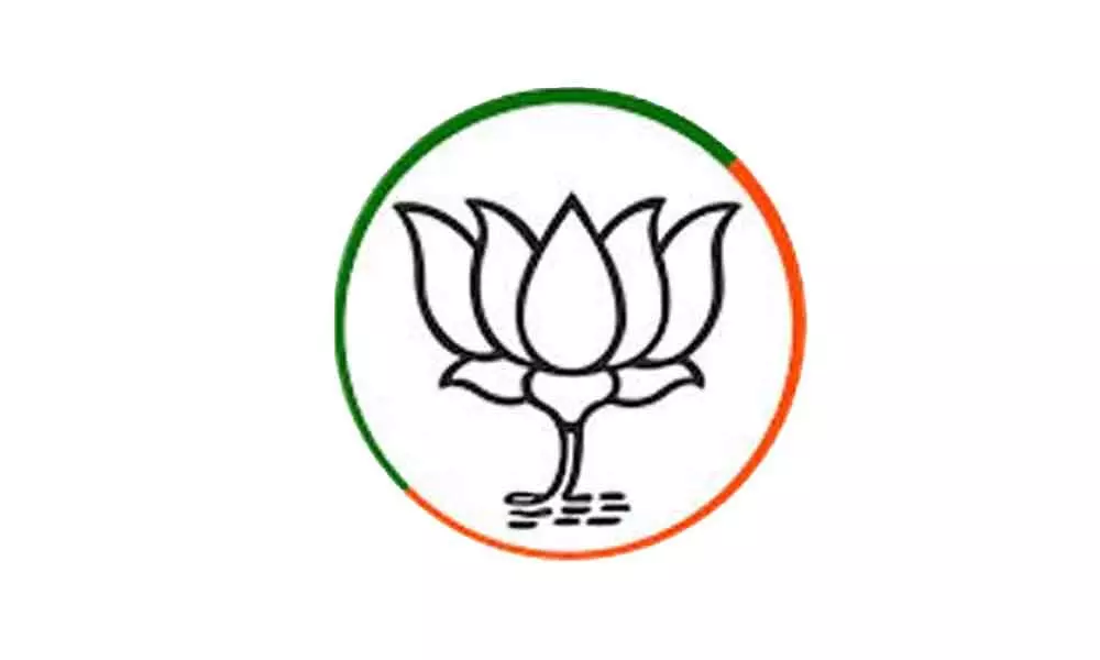 10 Dark Secrets of BJP Logo Analysis