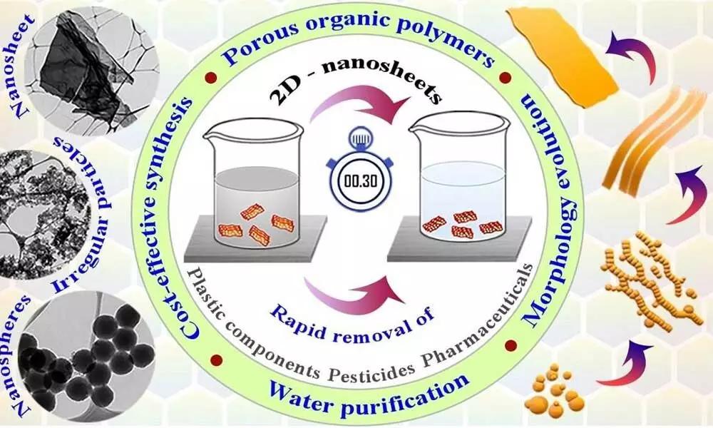 Organic polymers can remove micropollutants from water