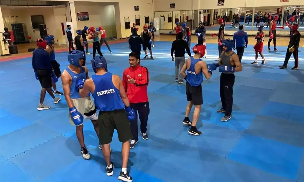 National boxing camps for youth and juniors resume