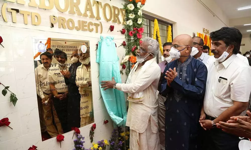 TTD chairman Y V Subba Reddy along with EO Dr K S Jawahar Reddy inaugurating IVF Lab at Veterinary University in Tirupati on Wednesday
