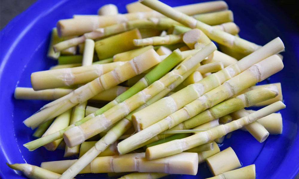 Amazing Health Benefits of Bamboo