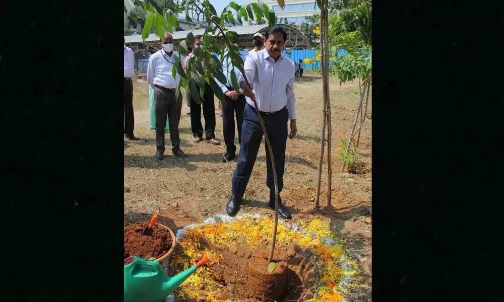 HMRL plants saplings on occasion of KCR’s birthday