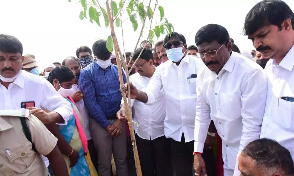 Minister for Transport Puvvada Ajay Kumar participating in the tree plantation on the occasion of CM KCR’s birthday on Thursday
