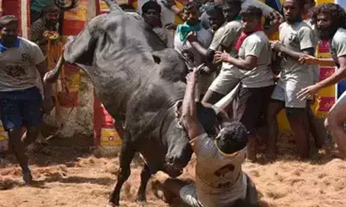 File photo of manjuvirattu in Tamil Nadu.