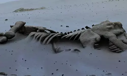 Species Can Be Extinct More Than Once