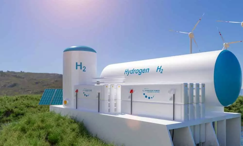 Green Hydrogen and Green Ammonia Policy