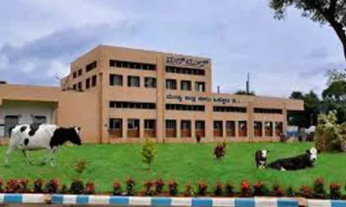 Loss-hit MANMULs massive recruitment drive raises eyebrows