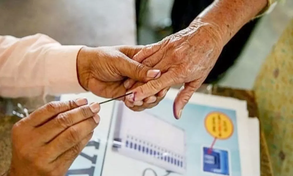 Tamil Nadu records 61% voting in urban local body