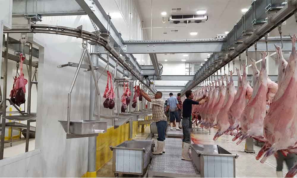 Hyderabad Slaughterhouse construction on PPP mode opposed