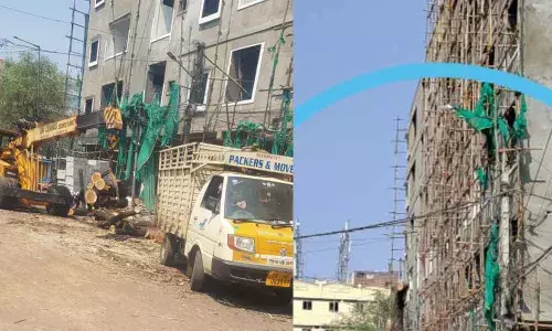 Hyderabad: Greens see red over heritage tree felling