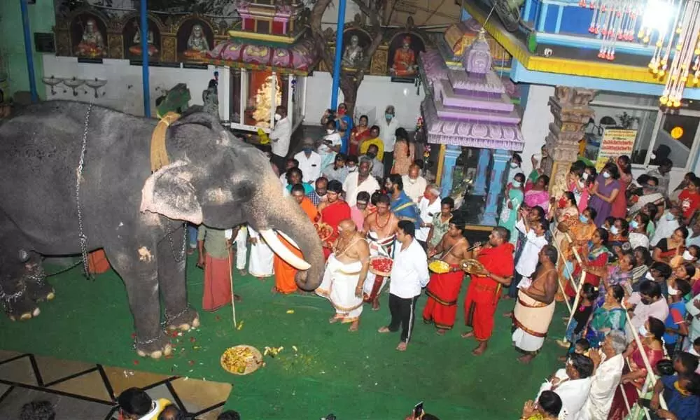 Devotees seeking blessings from the elephant, brought from Guruvayur temple,  at Mahasoura Maharudra yagams at Saibaba temple in Santhapet of Ongole  on Wednesday