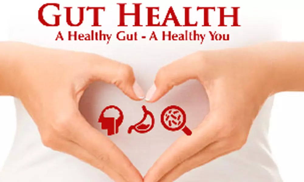 How you can improve your Gut Health?