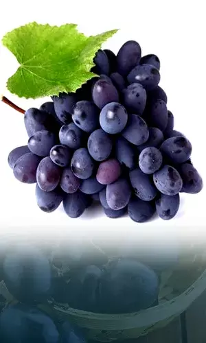 How to include Black Grapes in your Diet?
