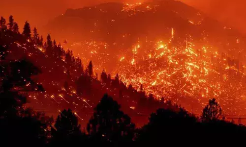 Spreading Like Wildfire