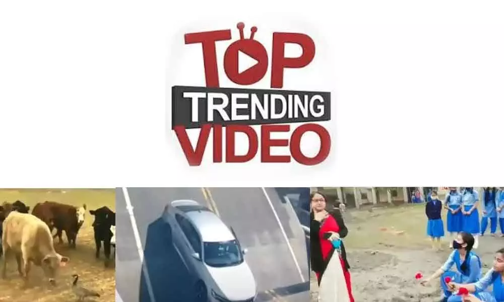 Top Trending Videos Of The Week ( 19 February - 25 February)