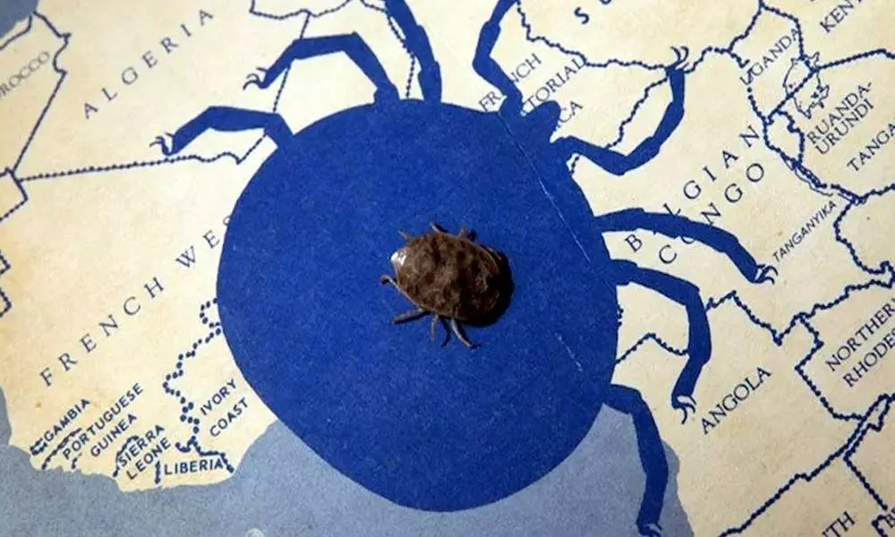 Research Shows That Ticks Can Survive Several Years Without Food