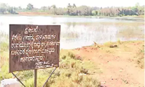 A lake exclusively for animals, birds