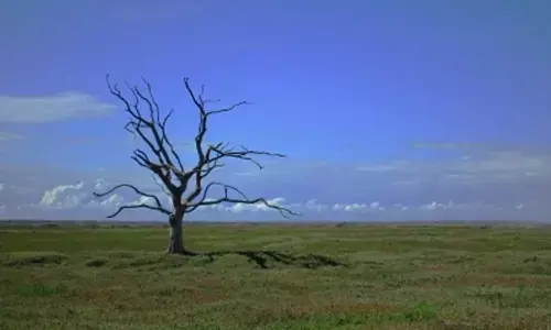 IPCC report: Climate change a threat to human wellbeing, health of planet