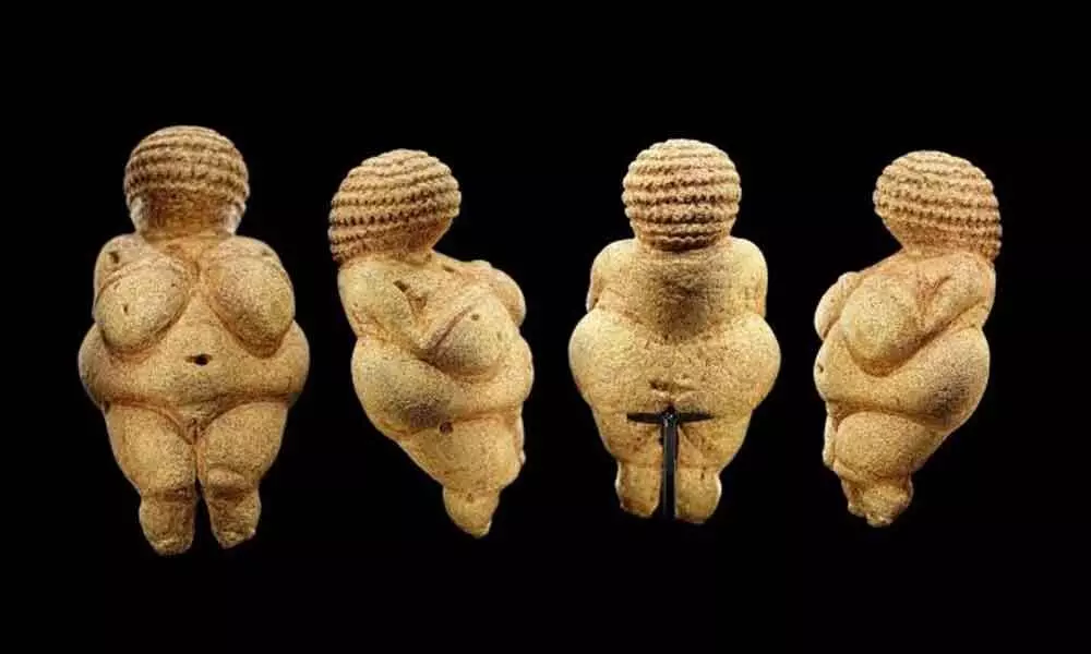 Studies Solved The Discovery Of Venus Of Willendo