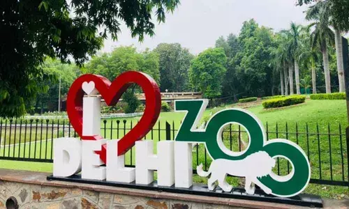 Delhi zoo reopens, all tickets sold overnight