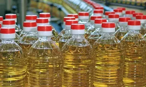 For representational purpose only