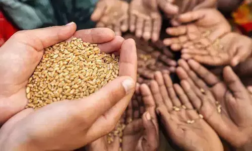 Representational Image