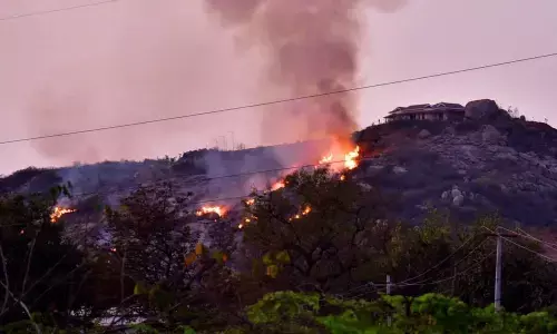 Fire spreading towards YTDA office located in the temple city from Chakali Gidde of Yadagirigutta on Wednesday