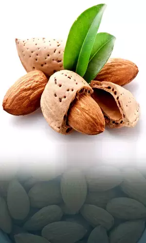 Why you must have soaked Almonds in summer?
