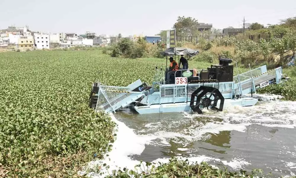 Shah Hatim Lake cleared of water hyacinth, trash