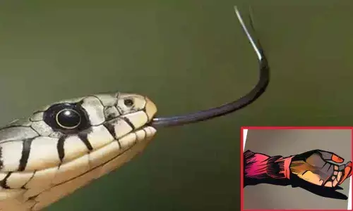 Andhra Pradesh: One hostel student dies due to snake bite in Vizianagaram