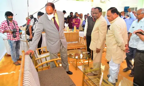 Bamboo Production To Get Boost