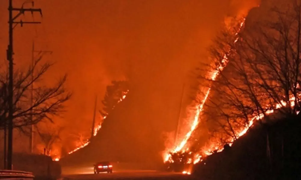 Over 6,000 evacuated due to fast-spreading wildfire in South Korea