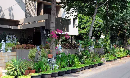 Greenery in Brindavan Colony