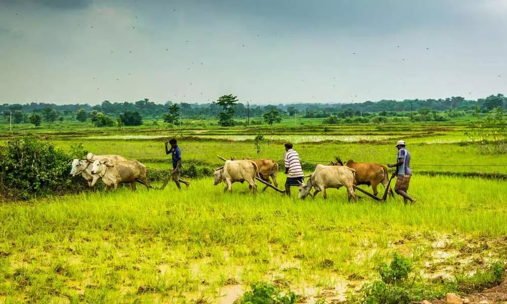 Telangana announces loan waiver up to Rs 75,000