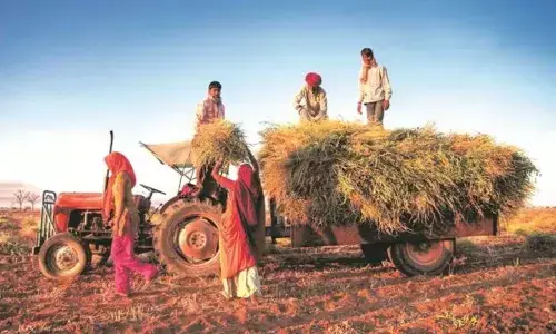 India can be food export powerhouse