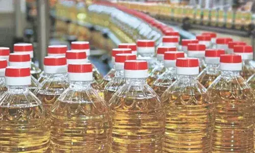 For representational purpose only