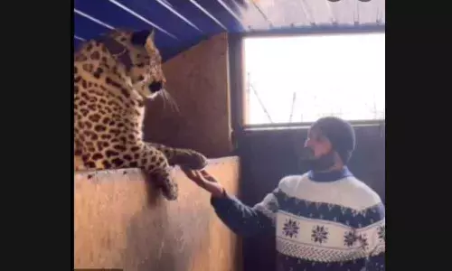 Bandi Hari Kumar with one of his pets, a leopard