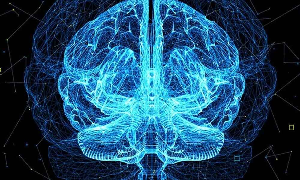 Memory Formation Have Been Discovered By Neuroscientists