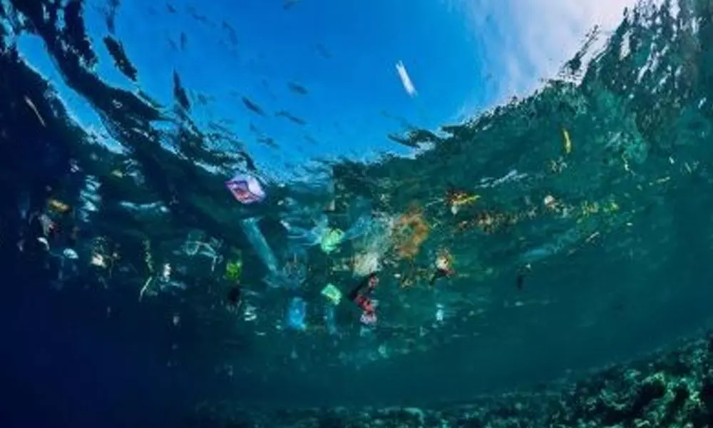 Australia, Indonesia join forces to tackle ocean pollution