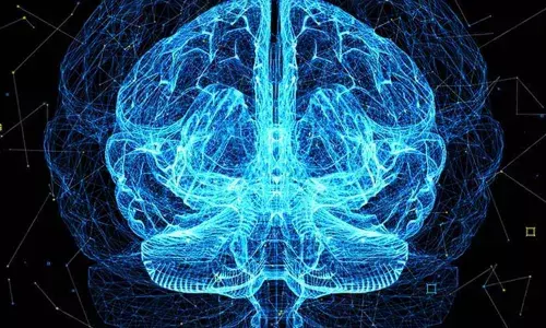 Memory Formation Have Been Discovered By Neuroscientists