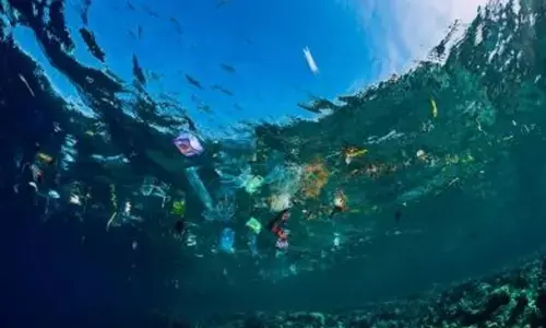 Australia, Indonesia join forces to tackle ocean pollution